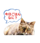 ラブリーメイちゃん（個別スタンプ：18）