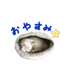 ラブリーメイちゃん（個別スタンプ：24）