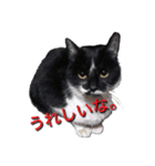ハナとシヒタン（個別スタンプ：5）