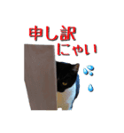 ハナとシヒタン（個別スタンプ：8）