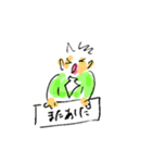 カブ吉（個別スタンプ：5）