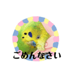 セキセイインコのぽぽたろさん（個別スタンプ：7）