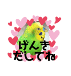 セキセイインコのぽぽたろさん（個別スタンプ：30）