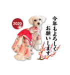 2020年マリーちゃん年賀スタンプ（個別スタンプ：2）