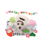 2020年マリーちゃん年賀スタンプ（個別スタンプ：4）