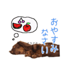 カニンヘンダックスのまろんちゃん（個別スタンプ：4）