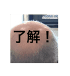 部活に行くための人のスタンプ（個別スタンプ：7）
