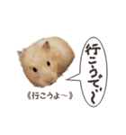 ハムスターのきゅうちゃん～奄美島口解説編（個別スタンプ：9）
