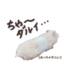 ハムスターのきゅうちゃん～奄美島口解説編（個別スタンプ：28）