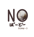 ハムスターのきゅうちゃん～奄美島口解説編（個別スタンプ：32）