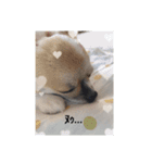 犬山犬之助の図が高ぇスタンプ（個別スタンプ：9）