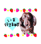 チョコスタンプふたたび（個別スタンプ：10）
