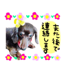 チョコスタンプふたたび（個別スタンプ：12）