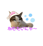 グベリコの日常（個別スタンプ：8）