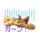 グベリコの日常（個別スタンプ：11）