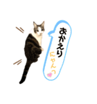 グベリコの日常（個別スタンプ：14）