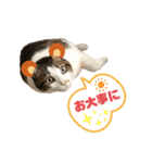 グベリコの日常（個別スタンプ：18）