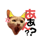 グベリコの日常（個別スタンプ：19）