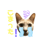 グベリコの日常（個別スタンプ：21）