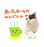 にゃーこの気まぐれな冬（個別スタンプ：11）