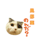 にゃーこの気まぐれな冬（個別スタンプ：13）