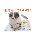 にゃーこの気まぐれな冬（個別スタンプ：14）