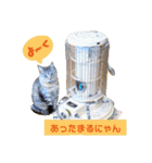 にゃーこの気まぐれな冬（個別スタンプ：15）