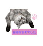 にゃーこの気まぐれな冬（個別スタンプ：22）
