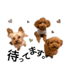 chocotaro.2（個別スタンプ：10）