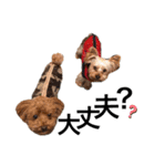 chocotaro.2（個別スタンプ：11）