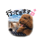 chocotaro.2（個別スタンプ：24）