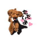 chocotaro.2（個別スタンプ：31）