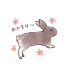 自由気ままに暮らすうさぎ達（個別スタンプ：2）