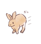 自由気ままに暮らすうさぎ達（個別スタンプ：4）