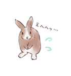 自由気ままに暮らすうさぎ達（個別スタンプ：6）
