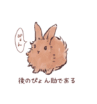 自由気ままに暮らすうさぎ達（個別スタンプ：19）