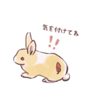 自由気ままに暮らすうさぎ達（個別スタンプ：22）