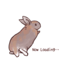 自由気ままに暮らすうさぎ達（個別スタンプ：26）