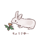 自由気ままに暮らすうさぎ達（個別スタンプ：30）