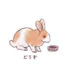 自由気ままに暮らすうさぎ達（個別スタンプ：32）