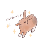 自由気ままに暮らすうさぎ達（個別スタンプ：33）