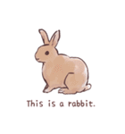 自由気ままに暮らすうさぎ達（個別スタンプ：34）