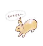 自由気ままに暮らすうさぎ達（個別スタンプ：36）