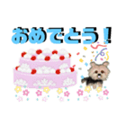 わんランド8（個別スタンプ：3）