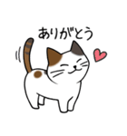 みけねこ便り（個別スタンプ：3）