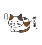 みけねこ便り（個別スタンプ：8）