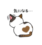 みけねこ便り（個別スタンプ：10）