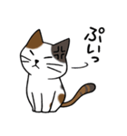 みけねこ便り（個別スタンプ：14）