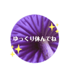森のこびとたちのごあいさつ4（個別スタンプ：1）