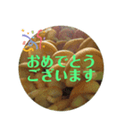 森のこびとたちのごあいさつ4（個別スタンプ：7）